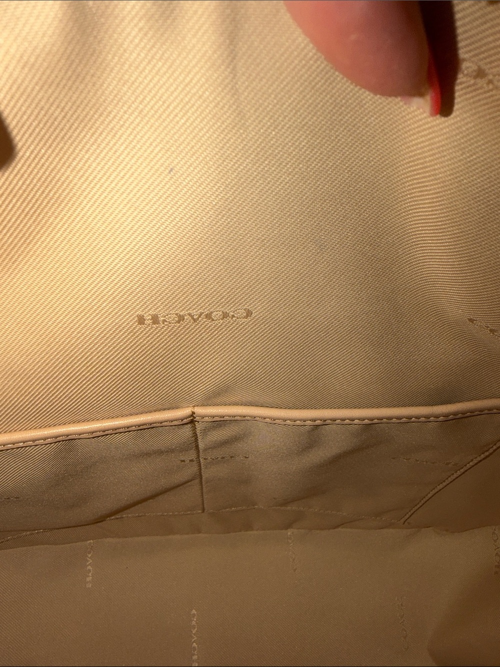 NWT BEAUTIFUL BUTTERY SOFT COACH BAG Everyday Leather Crossbody Bag - Blush - Picture 15 of 16